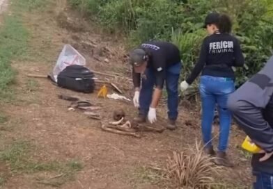 Ossada humana é localizada às margens da BR-163 em Terra Nova do Norte