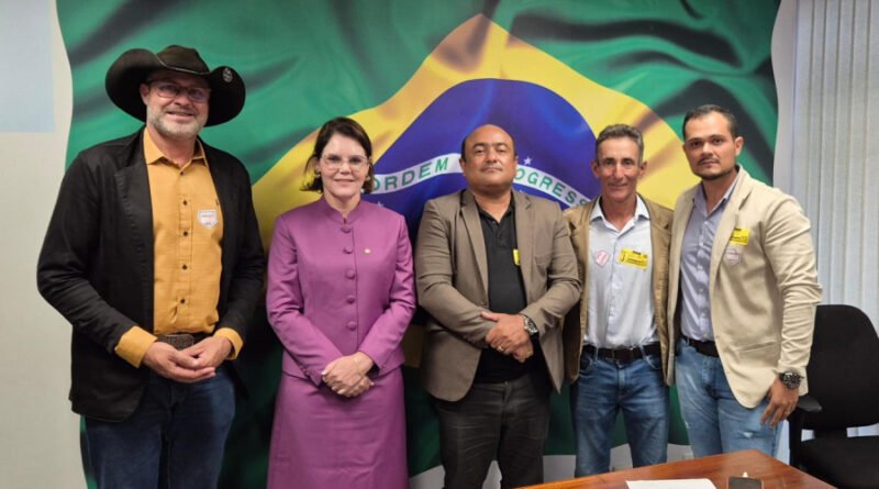 Vereadores de Guarantã do Norte buscam recursos em Brasília para pavimentação de acessos escolares